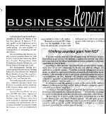 WUSBA Business Report NSF 1993